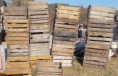 /album/pokladny-obchod-a-trezory-cash-registers-safes/br-55w55ot-jpg1/