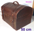 /album/zavazadla-top-kocarova-luggage-baggage-for-carriages-top-historism/da-40w395ot-jpg1/