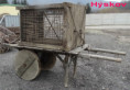/album/klece-vse-cages-all/an-28w3900-jpg/